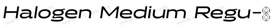Halogen Medium Regu字体转换